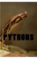 Pythons