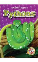 Pythons: (Snakes Alive)