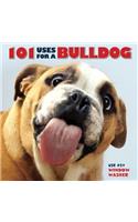 101 Uses for a Bulldog