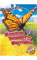 Monarch Butterfly Migration