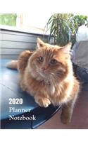 2020 Planner Notebook: Cute Orange Tabby Cat Planner Book With Monthly and Weekly Calendars, Monthly Budget Sheet and Weekly Meal Plan