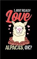 I Just Really Love Alpacas, OK?
