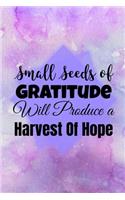 Small Seeds of Gratitude Will Produce A Harvest of Hope: Blank lined 6x9 Gratitude Journal