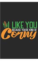 I like you because you're kind of Corny