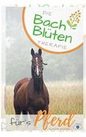 Bach- Blüten Therapie fürs Pferd