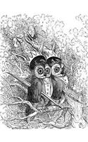 Composition Notebook: Vintage Distinguished Owl Artwork Journal