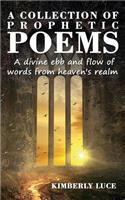 A Collection of Prophetic Poems: A Divine Ebb and Flow of Words from Heaven's Realm