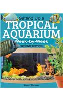 Setting Up a Tropical Aquarium