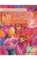 How to Paint Flowers & Plants