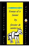 Essays of a Savior