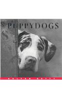 Hg Photo: Puppydogs