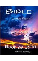 Bible Large Print Word Search