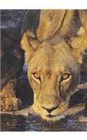 Vigilant Lioness Blank Book Lined Journal (5x7)
