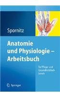 Anatomie und Physiologie - Arbeitsbuch