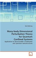 Many-body Dimensional Perturbation Theory for Quantum Confined Systems