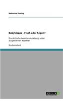 Babyklappe - Fluch oder Segen?