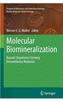 Molecular Biomineralization