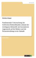 Fundamentale Untersuchung des weltweiten Rohstoffmarkts anhand der wichtigsten Rohstoffe mit besonderem Augenmerk auf die Risiken und die Preisentwicklung in der Zukunft