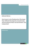 Gesetz in der Paulinischen Theologie. Eine biblisch-theologische Ausarbeitung mit besonderen Fokus auf dem Römer- und Galaterbrief
