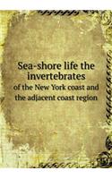 Sea-shore life the invertebrates of the New York coast and the adjacent coast region: (English)