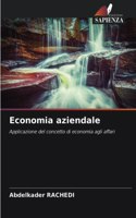 Economia aziendale