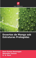 Enxertos de Manga sob Estruturas Protegidas