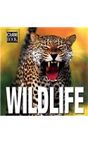 Wildlife (Minicube)