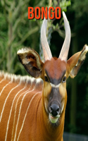 Bongo: Amazing Facts about Bongo