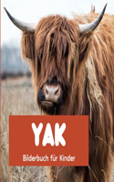 Yak