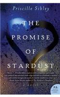 The Promise of Stardust