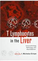 T Lymphocytes