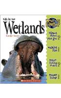 Life in the Wetlands: (What on Earth?)