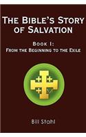 Bible's Story of Salvation