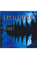 Imagine a Night
