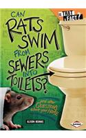 Can Rats Swim from Sewers into Toilets?