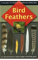 Bird Feathers