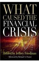 What Caused the Financial Crisis