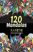 120 Mandalas大人の塗り絵