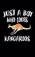 Just A Boy Who Loves Kangaroos