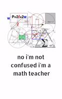No I'm Not Confused I'm a Math Teacher