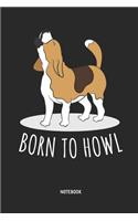 Beagle Notebook
