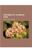 The Bible at a Single View: (English)