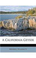 California Geyser