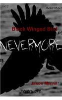 Black Winged Bird