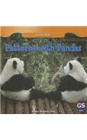 Patterns with Pandas: (Animal Math)
