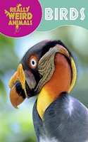 Really Weird Animals: Birds: (Really Weird Animals)