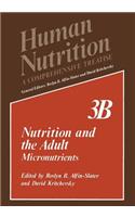 Nutrition and the Adult