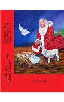 The Baby That Time Forgot- A Christmas Story