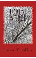 Forest & Tree