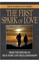 First Spark Of Love